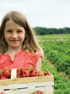 un-francais-sur-deux-convaincu-par-le-locavorisme-61274